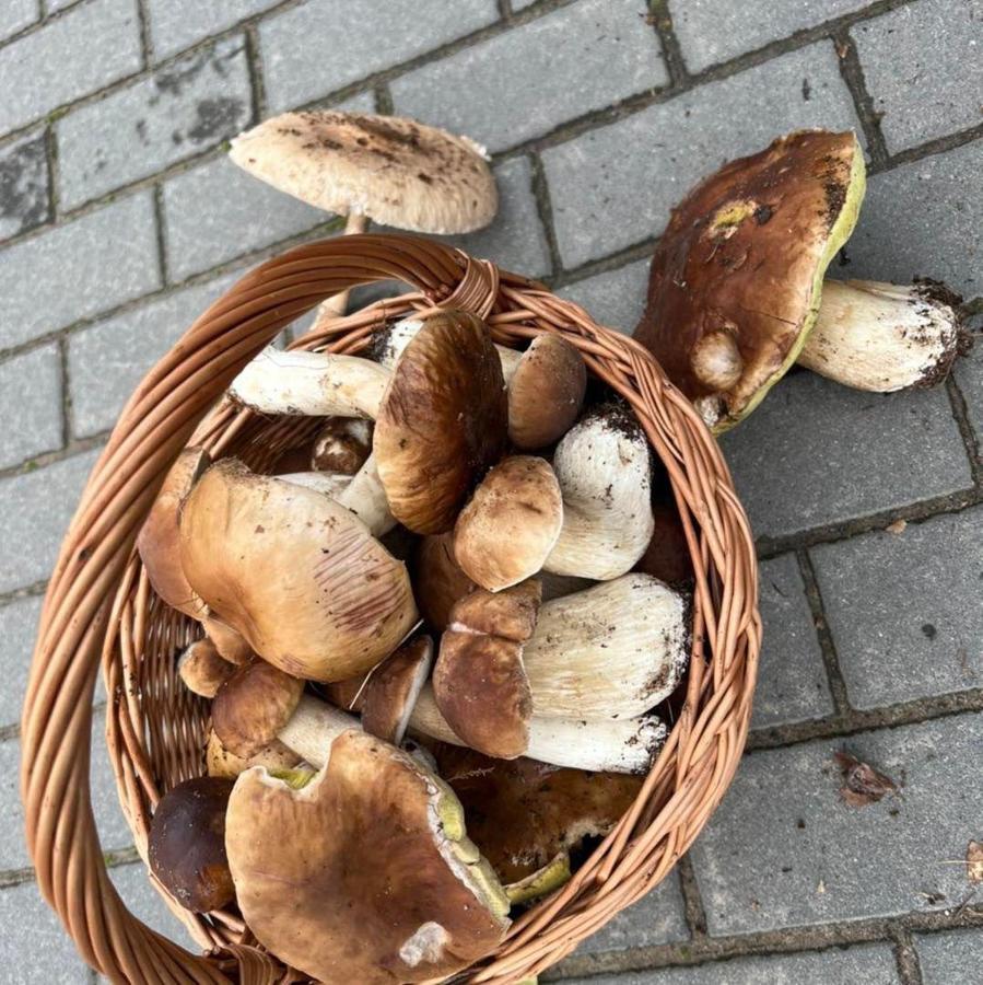Domek Nad Jeziorem Mysliborz Exterior foto
